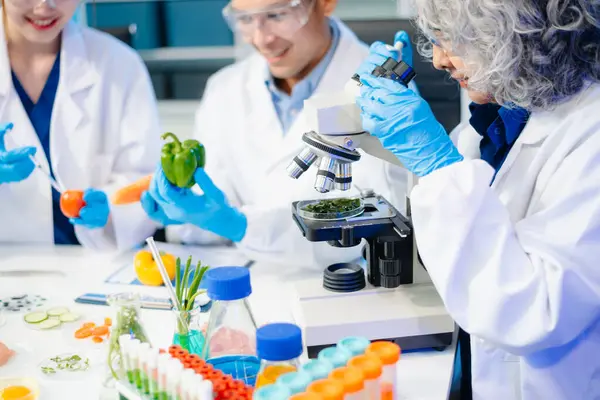 Team of scientists examining food samples in a lab with microscopes. Perfect for themes of food science, biotechnology, and nutrition research teamwork