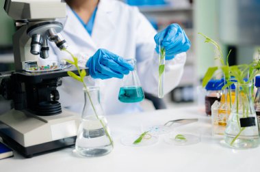 Food science as lab scientists test and analyze vegetables for safety and quality using advanced technology and precise equipment. in lap