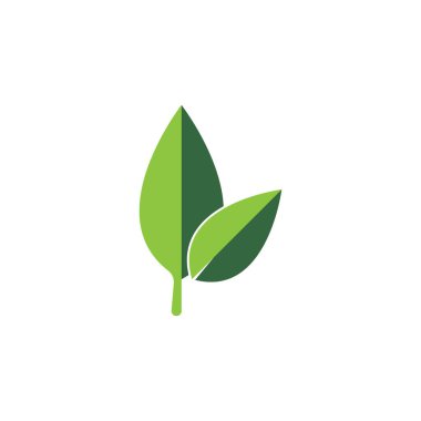 leaf logo vector illustration symbol design