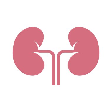 Böbrek ikonu vektör illüstrasyon logo tasarımı