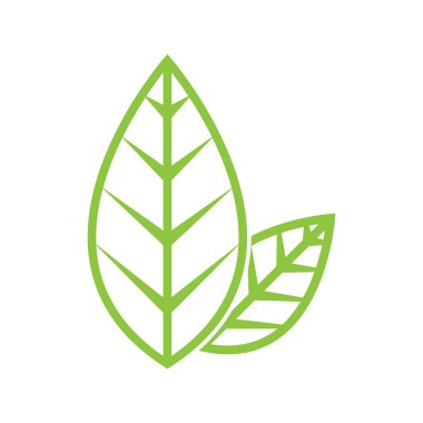 yeşil yaprak logosu çizim elemanı tasarımı