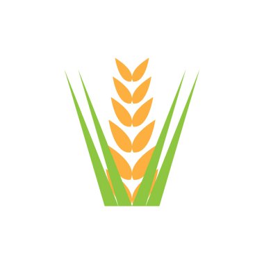 Rice logo illüstrasyon simgesi tasarımı