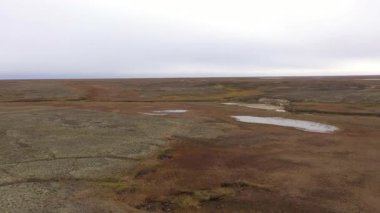 Tundra 'nın kuzeyindeki geçici yerleşim yerinin yukarıdan görünüşü. Kuzeyin yerli halklarının altyapısı. 
