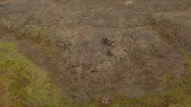 Sonbaharda Tundra 'dan geçen kuzeyli vatandaşlarla dolu bir ren geyiği kızağı manzarası. 4k