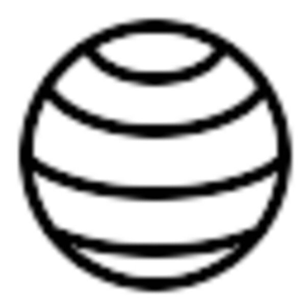 Exercise ball used for fitness and exercise activities.