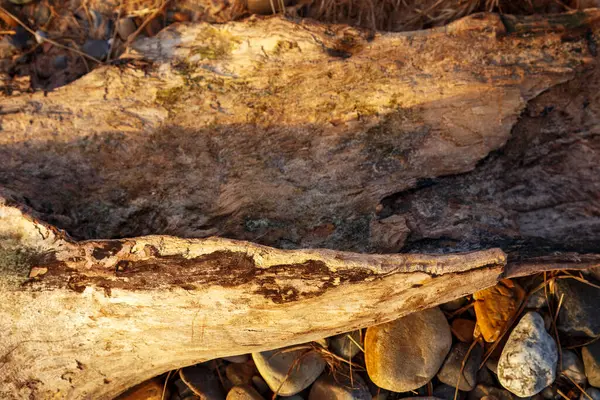 Kuzey Denizi üzerinde gün doğumu