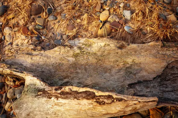 Kuzey Denizi üzerinde gün doğumu