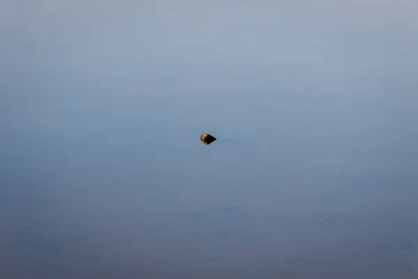 Güzel deniz manzarası