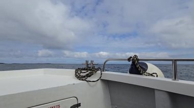 Farne Adaları Northumberland 'a tekne gezisi