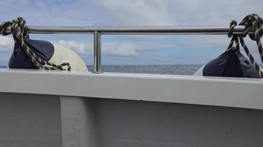 Farne Adaları Northumberland 'a tekne gezisi