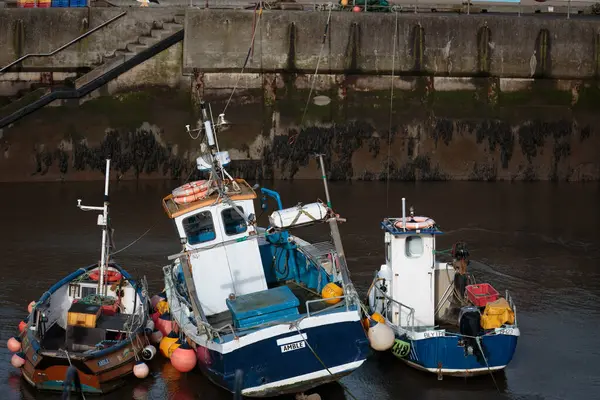 Balık ağları, halatlar, ıstakoz tencereleri ve yüzen stok fotoğrafçılığı.