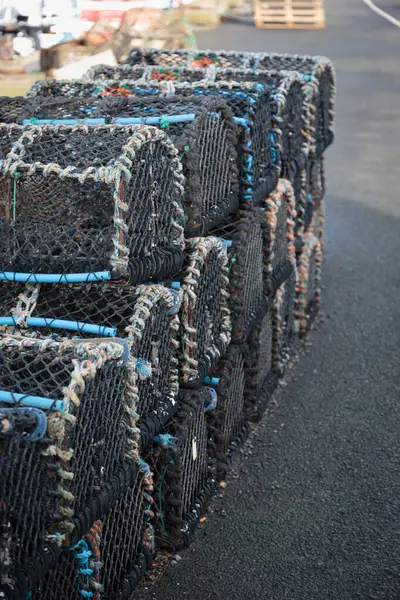 Balık ağları, halatlar, ıstakoz tencereleri ve yüzen stok fotoğrafçılığı.