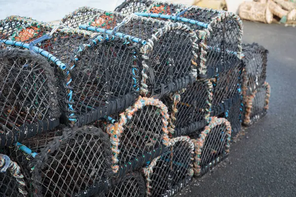 Balık ağları, halatlar, ıstakoz tencereleri ve yüzen stok fotoğrafçılığı.