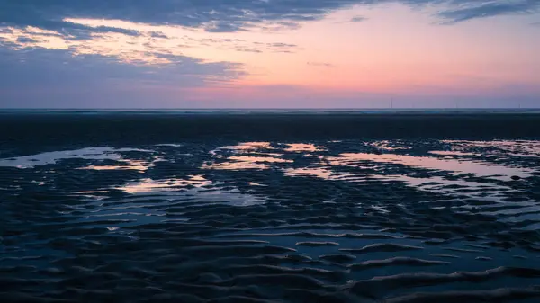 Kambois Sahili Northumberland, sahil dokularıyla gün doğumuna doğru Mavi Saat. Nisan 2025