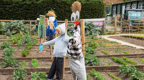 2025 Mayıs 'ında duvarlı sebze bahçesinde çeşitli korkutma kargaları