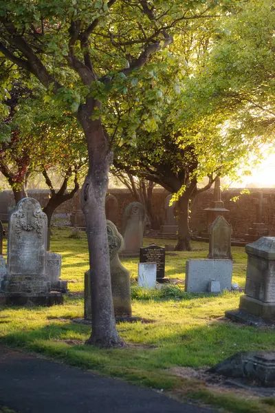 Gün batımında ağaçların arasından gün ışığı, Blyth, Northumberland 'deki mezarlık, Mayıs 2025