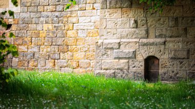 Northumberland 'da bahar çiçekleri olan güzel bir bahçe, Mayıs 2025