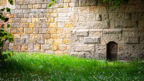 Northumberland 'da bahar çiçekleri olan güzel bir bahçe, Mayıs 2025