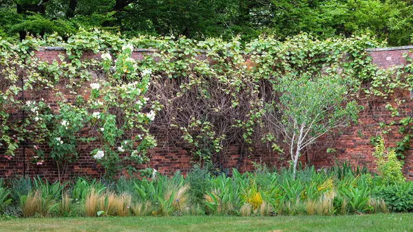 Northumberland 'da bahar çiçekleri olan güzel bir bahçe, Mayıs 2025