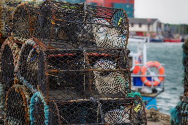 Istakoz Kapları, Amble İskelesi, Northumberland Mayıs 2025 