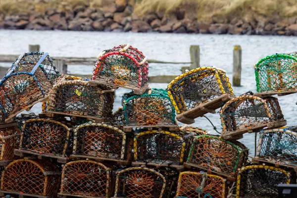 Istakoz Kapları, Amble İskelesi, Northumberland Mayıs 2025 