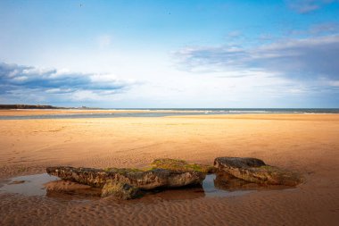 Wansbeck Estuary ve Kambois Plajı, Kambois, Northumberland, 3 Haziran 2025