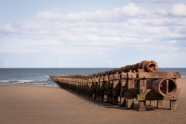 Northumberland, Kambois 'deki terk edilmiş rögarda yosun ve dokular, Haziran 2025