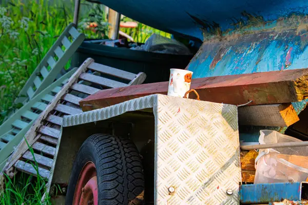 Bot Yard Dokuları, Wansbeck Estuary, Kambois, Northumberland 3 Haziran 2025.