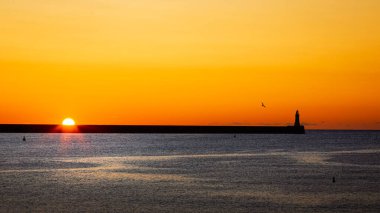 South Shields limanında gün doğumu, kuzey ve güney rıhtımlarında güneş doğuyor, yumuşak dalgalar üzerinde sarı bir parıltı yayıyor, Temmuz 2025