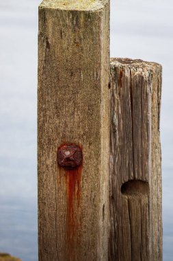 Kuzey Tyneside, North Shields 'den, Temmuz 2025. 