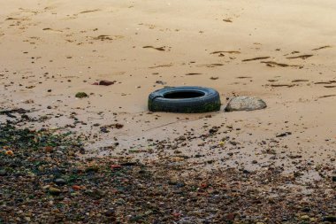 Kuzey Tyneside, North Shields 'den, Temmuz 2025. 