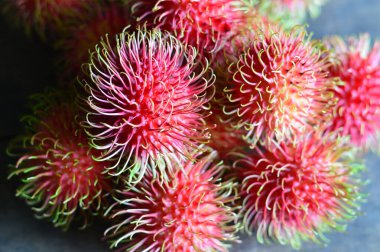 Canlı kırmızı dikenli derisi ve kıllı dokusu olan taze Rambutan. Tropikal yiyecekler, sağlıklı yaşam, bloglar, reklamlar veya Güneydoğu Asya meyve temaları için harika.