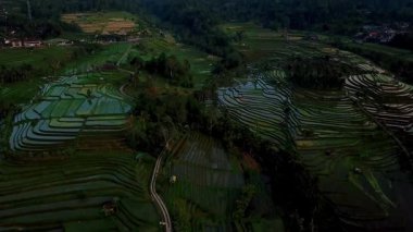 Teraslı pirinç tarlaları, geleneksel Subak sulama ve yumuşak sabah ışığı altında manzaralı dağların yer aldığı Jatiluwih, Tabanan, Bali 'deki kırsal manzaranın havadan görünüşü.