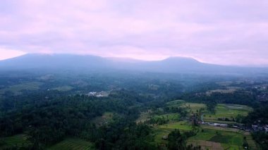 Teraslı pirinç tarlaları, geleneksel Subak sulama ve yumuşak sabah ışığı altında manzaralı dağların yer aldığı Jatiluwih, Tabanan, Bali 'deki kırsal manzaranın havadan görünüşü.