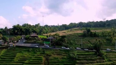 Jatiluwih, Tabanan, Bali 'deki kırsal alan manzarası teraslı pirinç tarlalarını, Subak sulama sistemini ve bulutlu öğleden sonra ışığı altında dağ manzarasını gösteriyor..