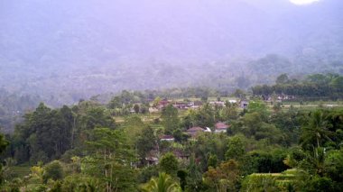 Yine de geniş teraslı pirinç tarlaları ve geleneksel Subak sulama sistemi ile Jatiluwih kırsal arazisini bulutlu öğleden sonra gökyüzü altında görüntüler..