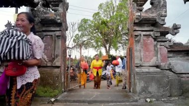 Tabanan, Bali, Endonezya 23 Ekim 2024: Jatiluwih cemaati üyeleri geleneksel bir Bali Hindu töreni sırasında Sri Rambut Tapınağı 'nda ibadet ederek refah tanrısını ruhani bağlılıkla onurlandırdılar..
