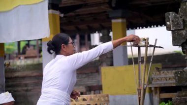 Tabanan, Bali, Endonezya 23 Ekim 2024: Jatiluwih cemaati üyeleri geleneksel bir Bali Hindu töreni sırasında Sri Rambut Tapınağı 'nda ibadet ederek refah tanrısını ruhani bağlılıkla onurlandırdılar..