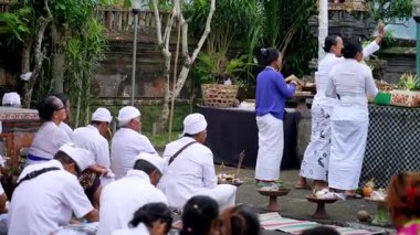 Tabanan, Bali, Endonezya 23 Ekim 2024: Jatiluwih cemaati üyeleri geleneksel bir Bali Hindu töreni sırasında Sri Rambut Tapınağı 'nda ibadet ederek refah tanrısını ruhani bağlılıkla onurlandırdılar..