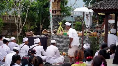 Tabanan, Bali, Endonezya 23 Ekim 2024: Jatiluwih cemaati üyeleri geleneksel bir Bali Hindu töreni sırasında Sri Rambut Tapınağı 'nda ibadet ederek refah tanrısını ruhani bağlılıkla onurlandırdılar..