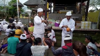 Tabanan, Bali, Endonezya 23 Ekim 2024: Jatiluwih cemaati üyeleri geleneksel bir Bali Hindu töreni sırasında Sri Rambut Tapınağı 'nda ibadet ederek refah tanrısını ruhani bağlılıkla onurlandırdılar..