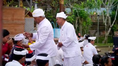 Tabanan, Bali, Endonezya 23 Ekim 2024: Jatiluwih cemaati üyeleri geleneksel bir Bali Hindu töreni sırasında Sri Rambut Tapınağı 'nda ibadet ederek refah tanrısını ruhani bağlılıkla onurlandırdılar..