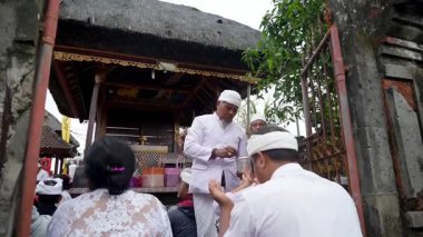 Tabanan, Bali, Endonezya 23 Ekim 2024: Jatiluwih cemaati üyeleri geleneksel bir Bali Hindu töreni sırasında Sri Rambut Tapınağı 'nda ibadet ederek refah tanrısını ruhani bağlılıkla onurlandırdılar..