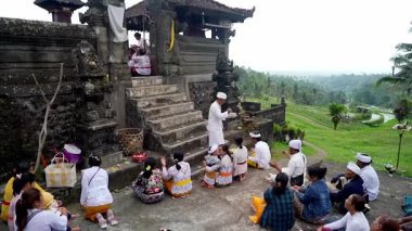 Tabanan, Bali, Endonezya 23 Ekim 2024: Jatiluwih cemaati üyeleri geleneksel bir Bali Hindu töreni sırasında Sri Rambut Tapınağı 'nda ibadet ederek refah tanrısını ruhani bağlılıkla onurlandırdılar..