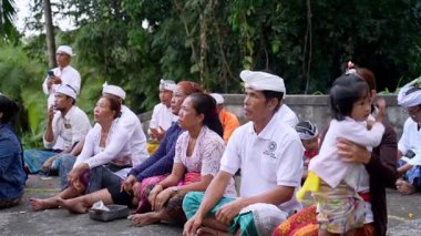 Tabanan, Bali, Endonezya 23 Ekim 2024: Jatiluwih cemaati üyeleri geleneksel bir Bali Hindu töreni sırasında Sri Rambut Tapınağı 'nda ibadet ederek refah tanrısını ruhani bağlılıkla onurlandırdılar..