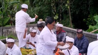 Tabanan, Bali, Endonezya 23 Ekim 2024: Jatiluwih cemaati üyeleri geleneksel bir Bali Hindu töreni sırasında Sri Rambut Tapınağı 'nda ibadet ederek refah tanrısını ruhani bağlılıkla onurlandırdılar..