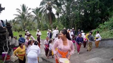 Tabanan, Bali, Endonezya 23 Ekim 2024: Jatiluwih cemaati üyeleri geleneksel bir Bali Hindu töreni sırasında Sri Rambut Tapınağı 'nda ibadet ederek refah tanrısını ruhani bağlılıkla onurlandırdılar..
