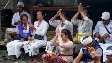 Tabanan, Bali, Endonezya 23 Ekim 2024: Jatiluwih cemaati üyeleri geleneksel bir Bali Hindu töreni sırasında Sri Rambut Tapınağı 'nda ibadet ederek refah tanrısını ruhani bağlılıkla onurlandırdılar..