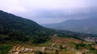 Pirinç tarlalarının havadan görüntüsü Kasepuhan Pasir Eurih, Banten 'de ekime hazır. Sabah sisi dingin ve doğal bir tarım manzarası yaratıyor..