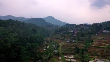 Pirinç tarlalarının havadan görüntüsü Kasepuhan Pasir Eurih, Banten 'de ekime hazır. Sabah sisi dingin ve doğal bir tarım manzarası yaratıyor..